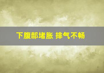 下腹部堵胀 排气不畅